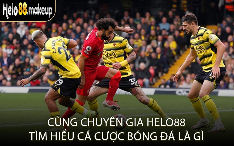 Cùng chuyên gia Helo88 tìm hiểu cá cược bóng đá là gì